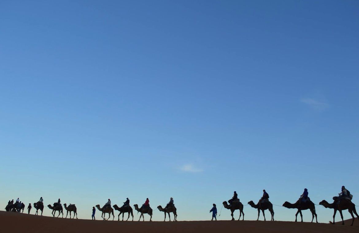 Caravane de dromadaires sur une crête de dunes au Sahara